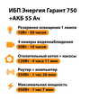 ИБП для котла Энергия Гарант 750 + Аккумулятор 55 Ач 12 В (450Вт - 67мин) - ИБП и АКБ - ИБП для котлов - . Магазин оборудования для автономного и резервного электропитания Ekosolar.ru в Ельце