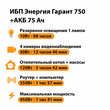 ИБП для котла Энергия Гарант 750 + Аккумулятор 75 Ач 12 В (450Вт - 91мин) - ИБП и АКБ - ИБП для котлов - . Магазин оборудования для автономного и резервного электропитания Ekosolar.ru в Ельце